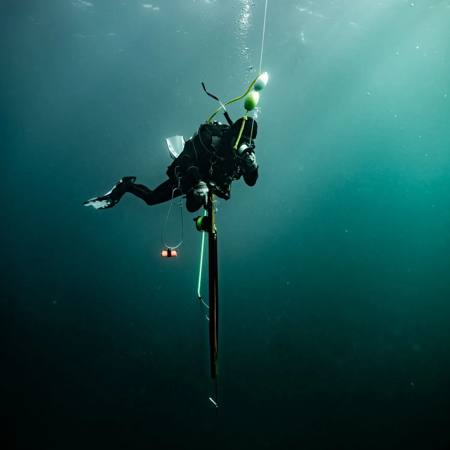 DXDIVERS SCUBA SPEARFISHING COURSE