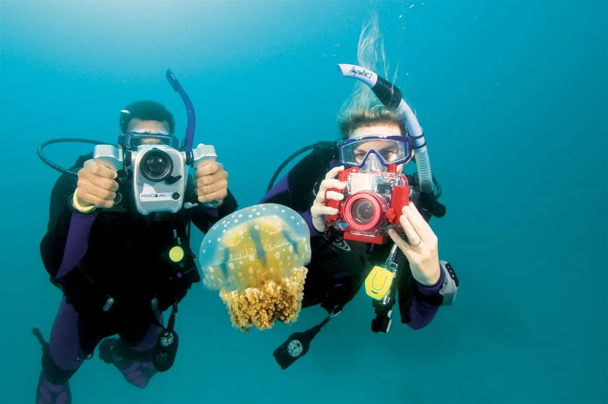 ONLINE TRAINING: PADI Underwater Digital Photography Course