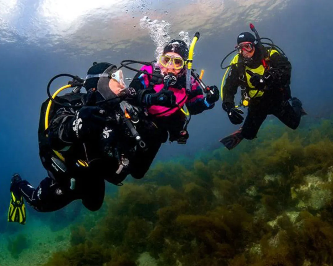 PADI Drysuit Course