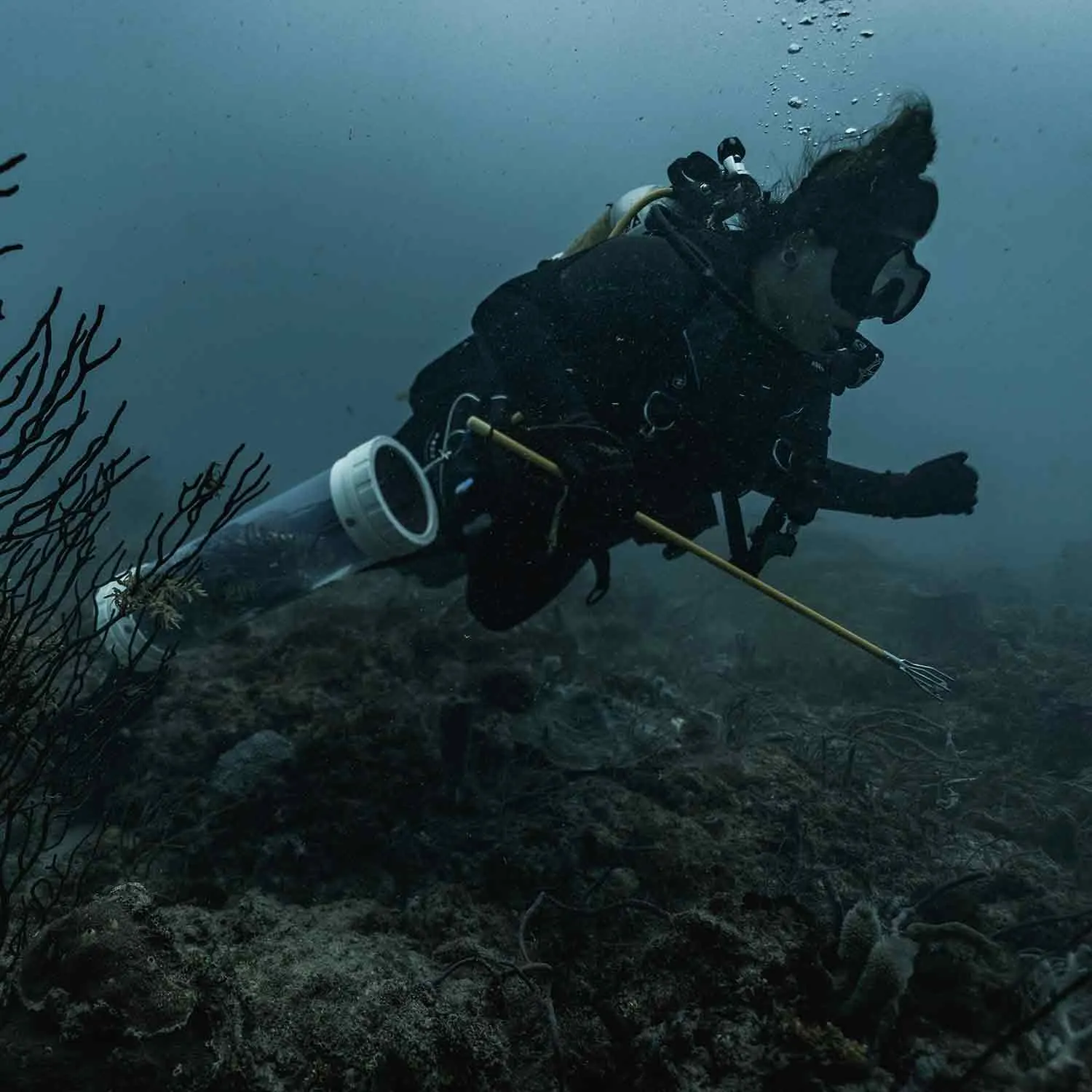 PADI INVASIVE LIONFISH TRACKER COURSE