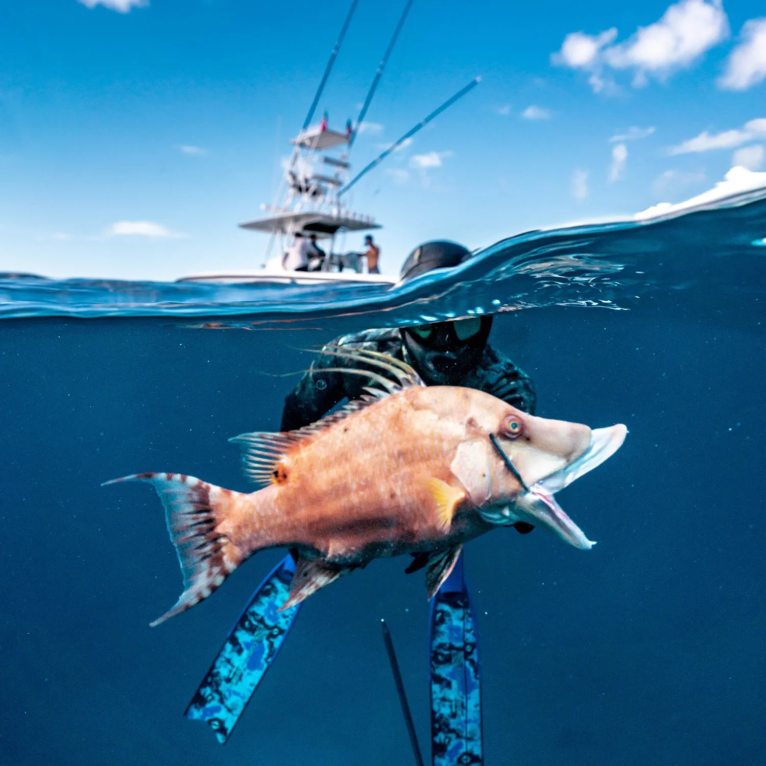 PADI UNDERWATER PHOTOGRAPHER SPECIALTY COURSE