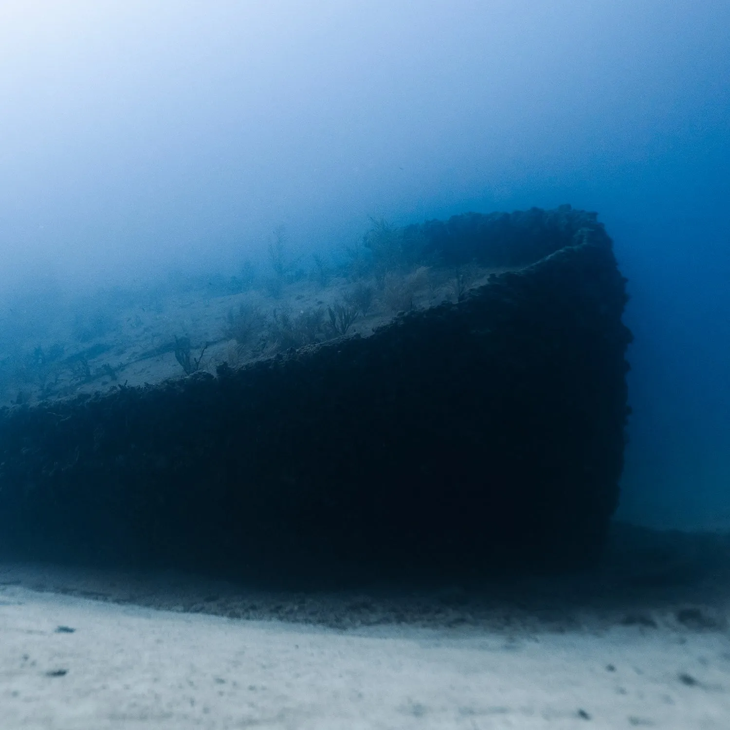 PADI WRECK DIVER SPECIALTY COURSE