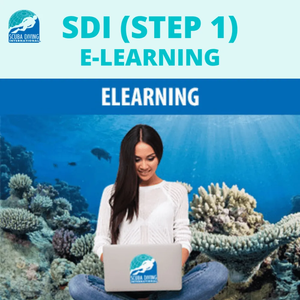 SDI OWSD (Step 1) E-Learning