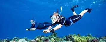 SSI Snorkeling & Skin Diving